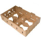 Compostable Cardboard Shipper for Eco-Friendly Produce Containers Compostable Cardboard Shipper for Eco-Friendly Produce Containers