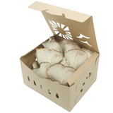 Kraft paper mushroom containers