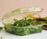 Vegware 8x8x3" compostable PLA clamshell with green tint, SKU VW-LC81GN Vegware 8x8x3" compostable PLA clamshell with green tint, SKU VW-LC81GN