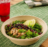 Compostable Salad Bowl