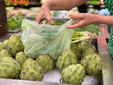 Compostable Shopping Bag with Artichokes