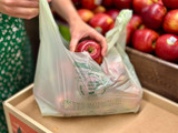 Apples in a BioBag Shopper Bag