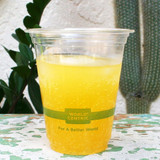 12 oz Compostable PLA Cold Cup Sample