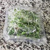 compostable microgreen packaging
