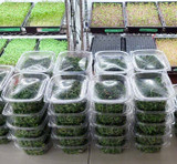 1-2 oz microgreen packaging