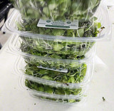 Compostable Microgreen Packaging