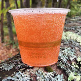 6 oz Compostable Cold Cups CP-CS-6 