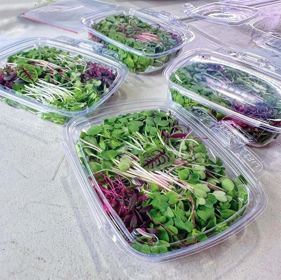 Good Start Packaging: Compostable Food Pac…