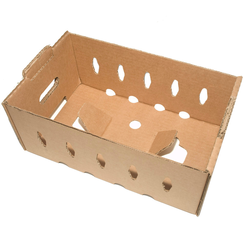 Small Master Tray Cardboard Produce Shippers for Produce Containers