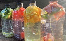 64 oz Juice Bottles