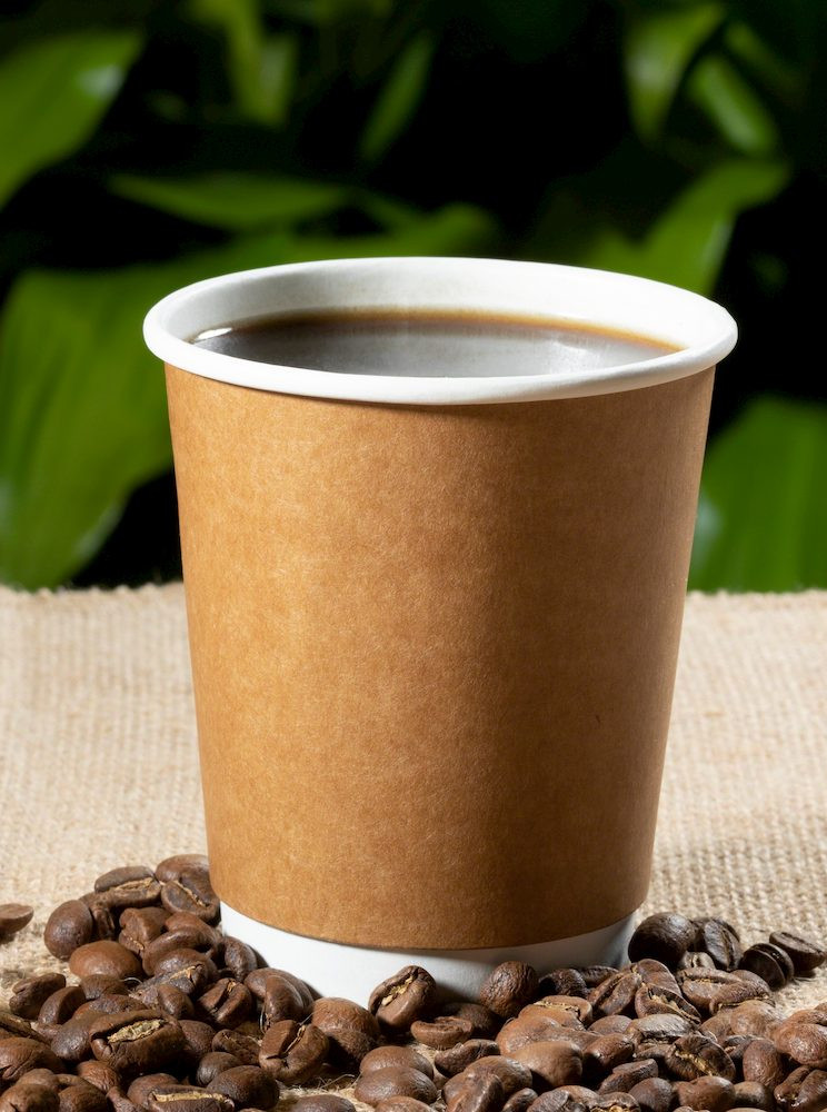 8 oz Double Wall Kraft Compostable Hot Cup Sample