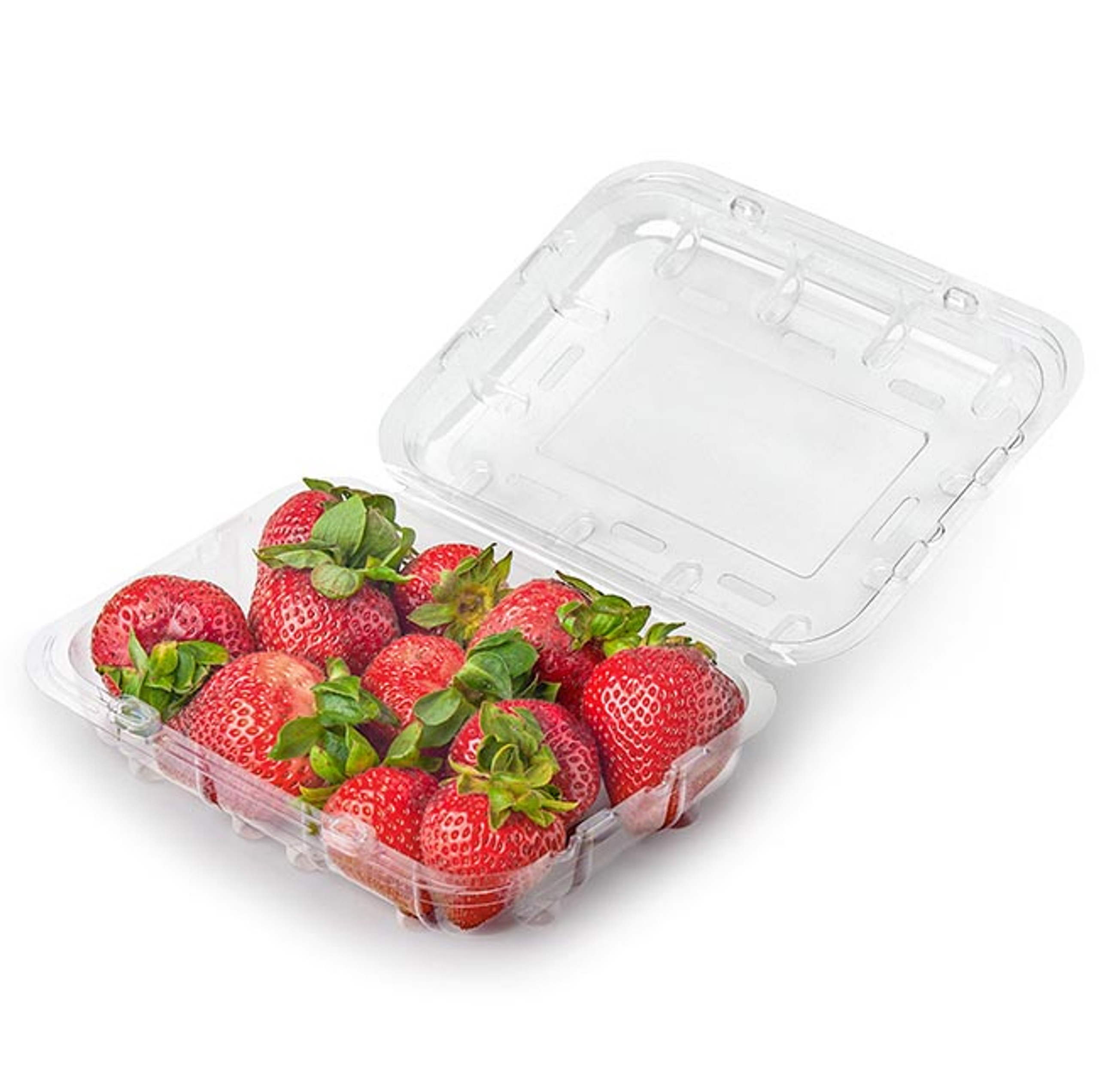 12 oz Compostable PLA Vented Berry Clamshell Containers XXV00302