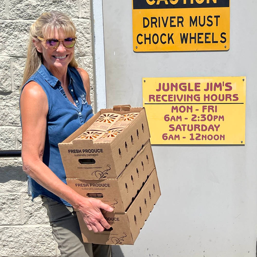 Small Master Tray Cardboard Produce Shippers for Produce Containers