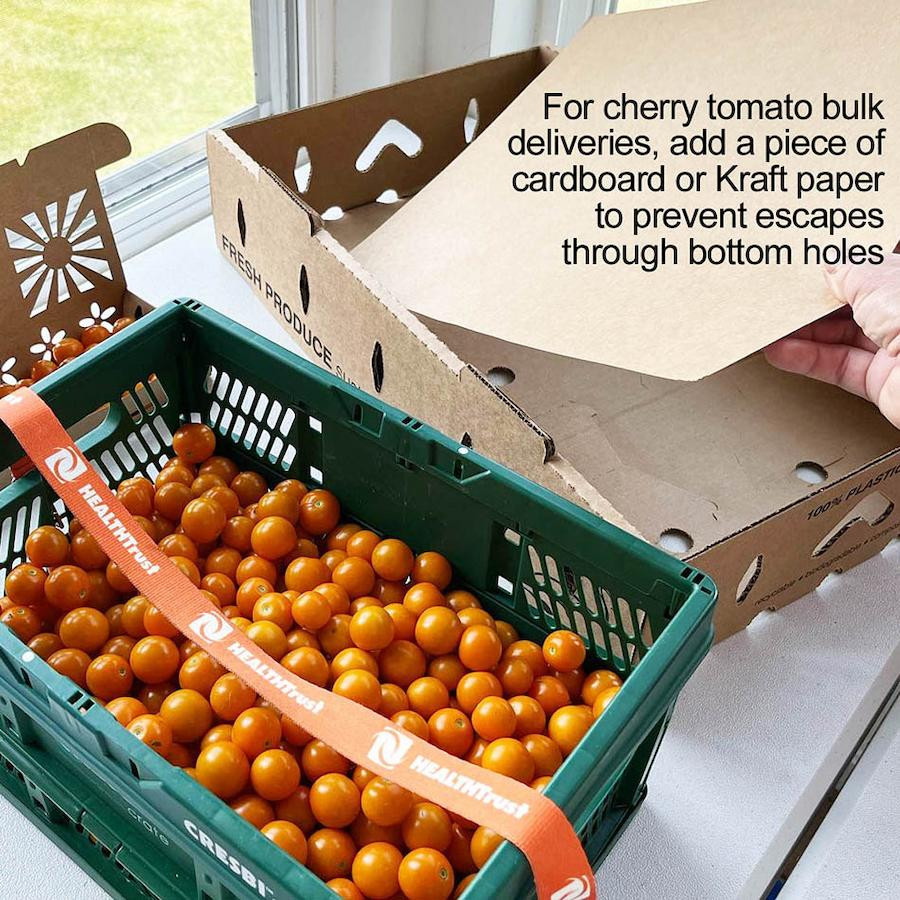 Small Master Tray Cardboard Produce Shippers for Produce Containers