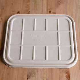Eco-Friendly Disposable Catering Trays with Lids