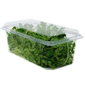 HeloGreen Eco-Friendly Sustainable Clamshell Food Container - 7x5