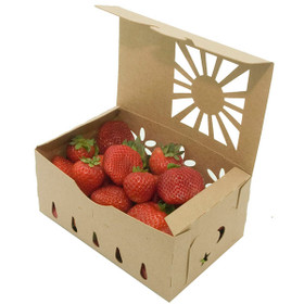 https://cdn11.bigcommerce.com/s-l5dryyv/images/stencil/280w/products/10395/7971/quart-kliklok-brown-strawberries-open__86542.1.jpg