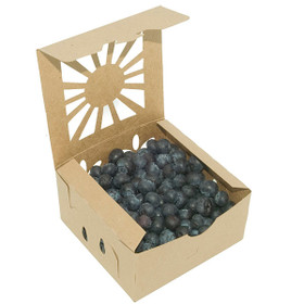 Pint Kraft Paper Clamshell Produce Containers | Sample