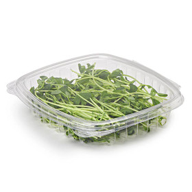 12 oz Eco-Friendly Clear PLA Rectangle Deli Containers (900 Count) –  BioGreenChoice