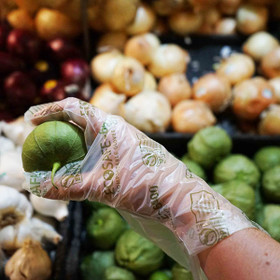 EcoSafe Compostable Food Service Gloves | Various Sizes | Sample Pair EcoSafe Compostable Food Service Gloves | Various Sizes | Sample Pair