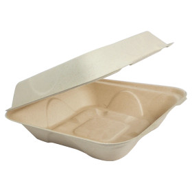 Clamshell Packaging  Compostable Take Out Boxes