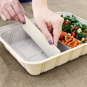 Eco-Friendly Disposable Catering Trays with Lids