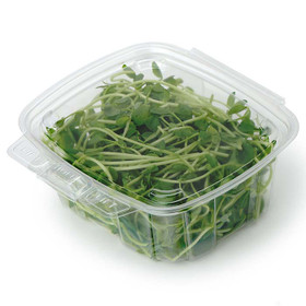 12 oz Eco-Friendly Clear PLA Rectangle Deli Containers (900 Count) –  BioGreenChoice