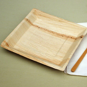 EATWARE COMPOSTABLE FOOD CONTAINERS, Eatware Milwaukee, Biodegradeable  plates and dinner ware, biodegradeable disposable plates, Eatware  eco-friendly disposable plates and bowls, sustainable disposable plates