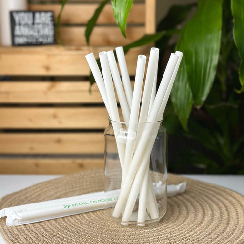bug killer indoor plants Lemongrass Indoor Pest Control