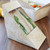 NoTree Medium Sandwich Wedge Box w/ PLA Window SW-NT-M