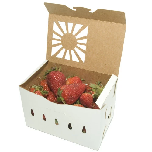 Good Start Packaging | Compostable Food Packa…