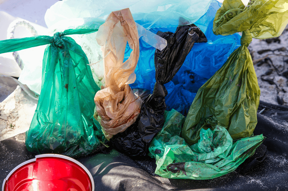 colorful plastic bag litter