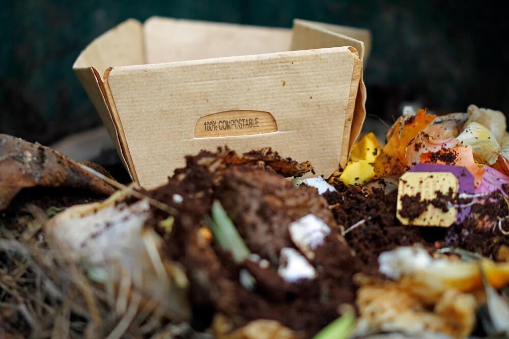box that says 100% compostable on pile of food scraps
