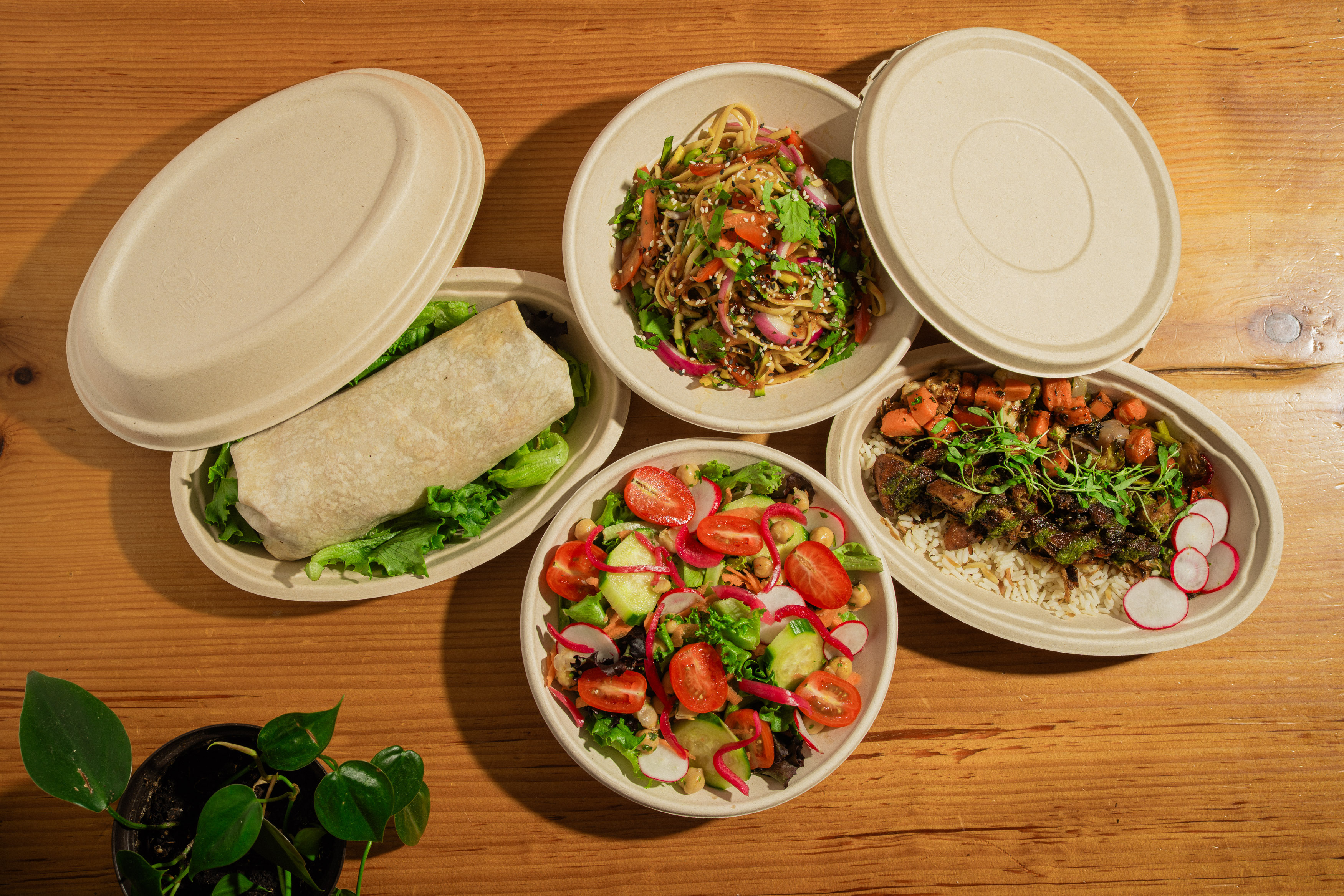 Various meals in compostable fiber containers