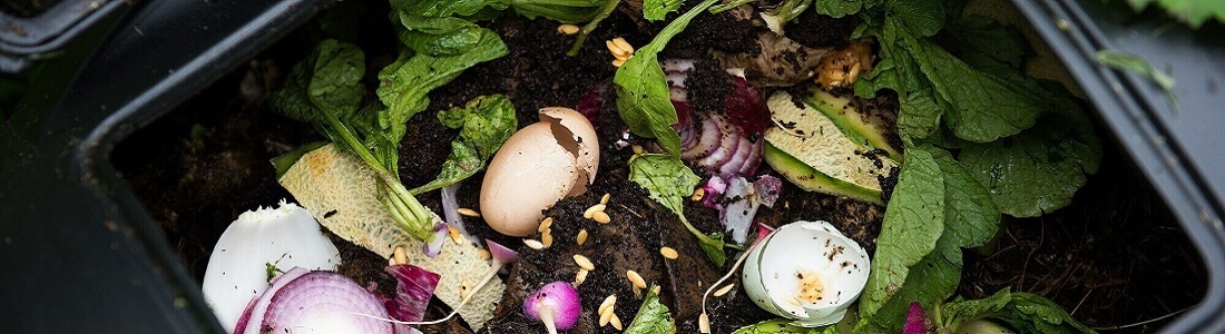 Why do we compost food waste? The Environmental Benefits of Compsting
