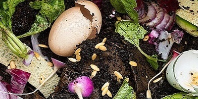 Why do we compost food waste? The Environmental Benefits of Compsting