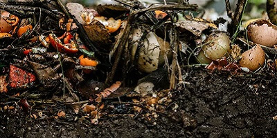 food scraps being composted