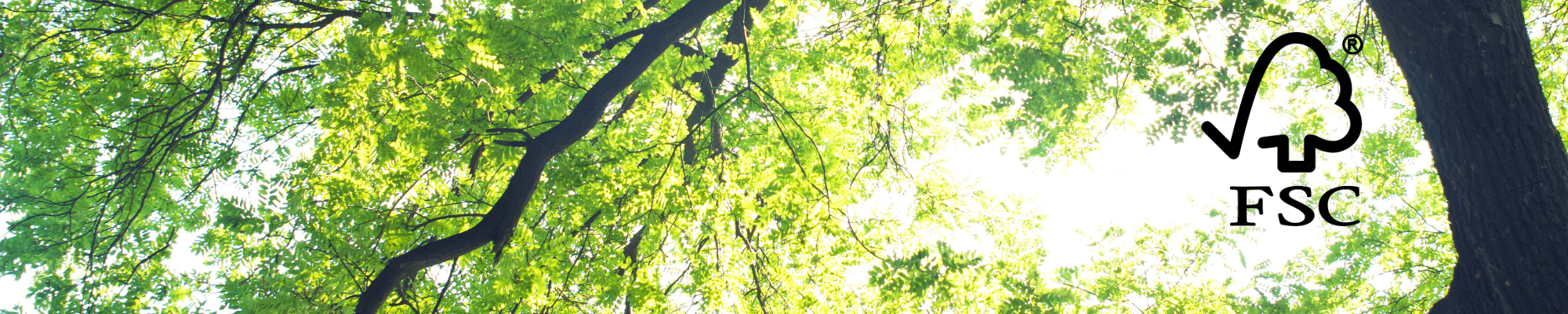 FSC logo over forest of trees