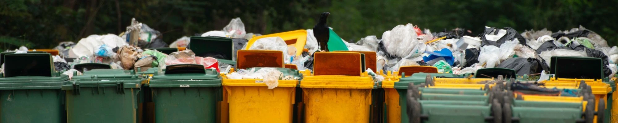 various overflowing trash cans