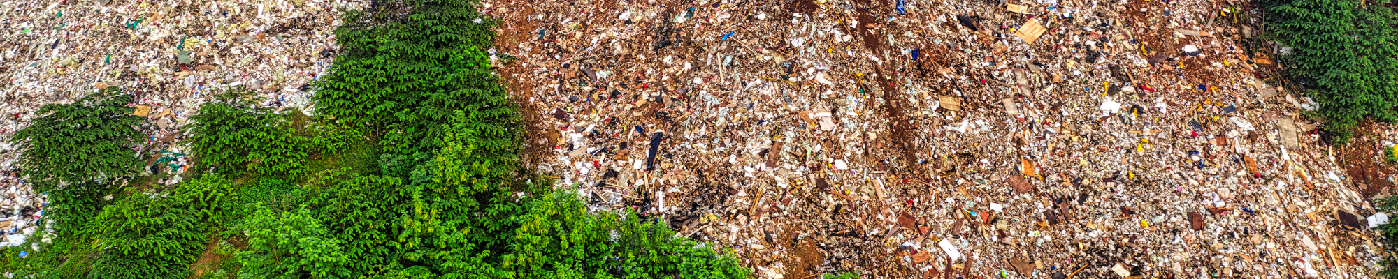 landfill and green trees