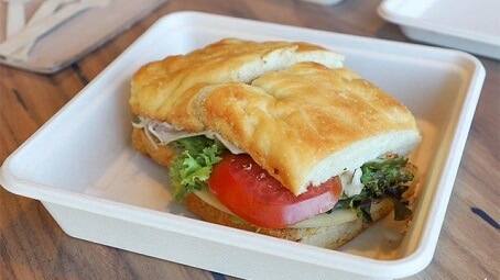 Sugarcane Fiber products