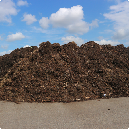 compost pile