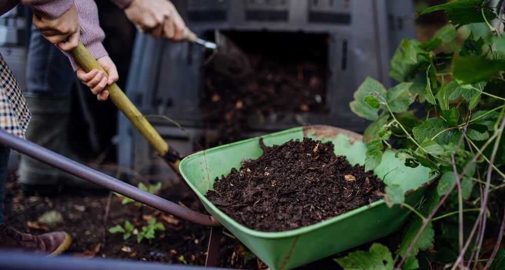 Wheelbarrow with Compost