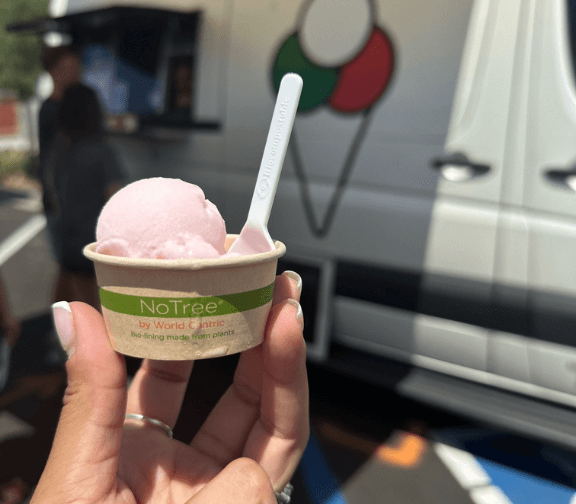 compostable tasting cups and spoons
