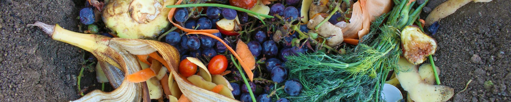fruit scraps with compost
