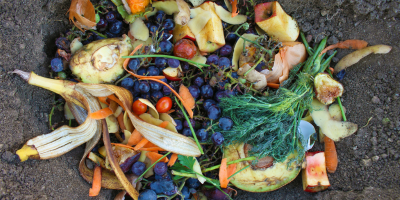 fruit scraps in compost pile