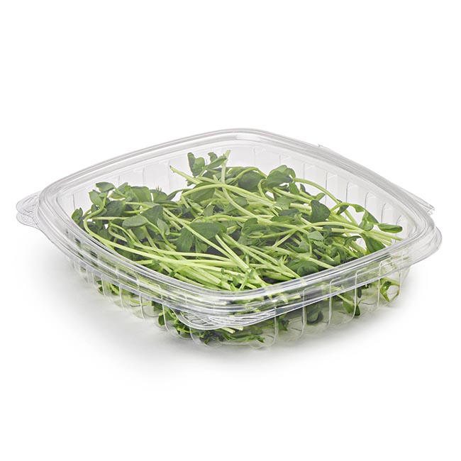 Deli Containers Heavy-duty with airtight lids-16 Oz-240 sets/case