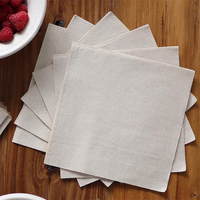 Creative Converting 2-Ply Paper Dinner Napkins, White, 50-Count