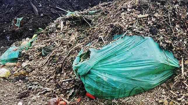 Composting Biobags