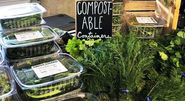 Compostable Containers with Greens